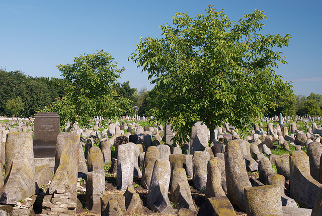 Der alte judische Friedhof in Berdytschiw Der alte judische Friedhof in Berdytschiw