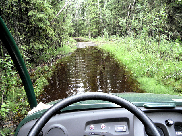 Trail is a little damp