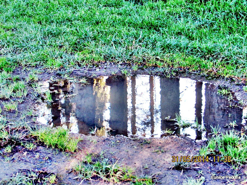 Puddle Picture