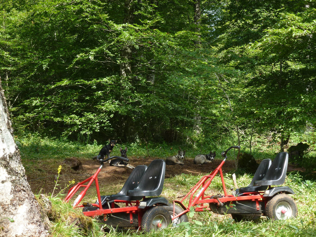 20140723 -27 Nasbinals Aubrac VTT Marche (132) al