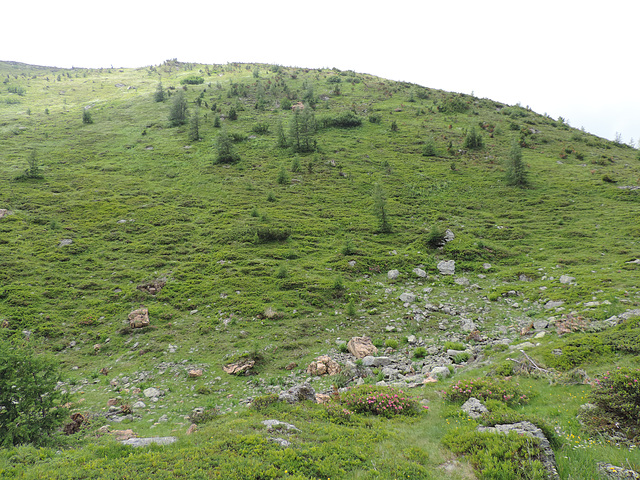 Turracher Höhe - Kärnten