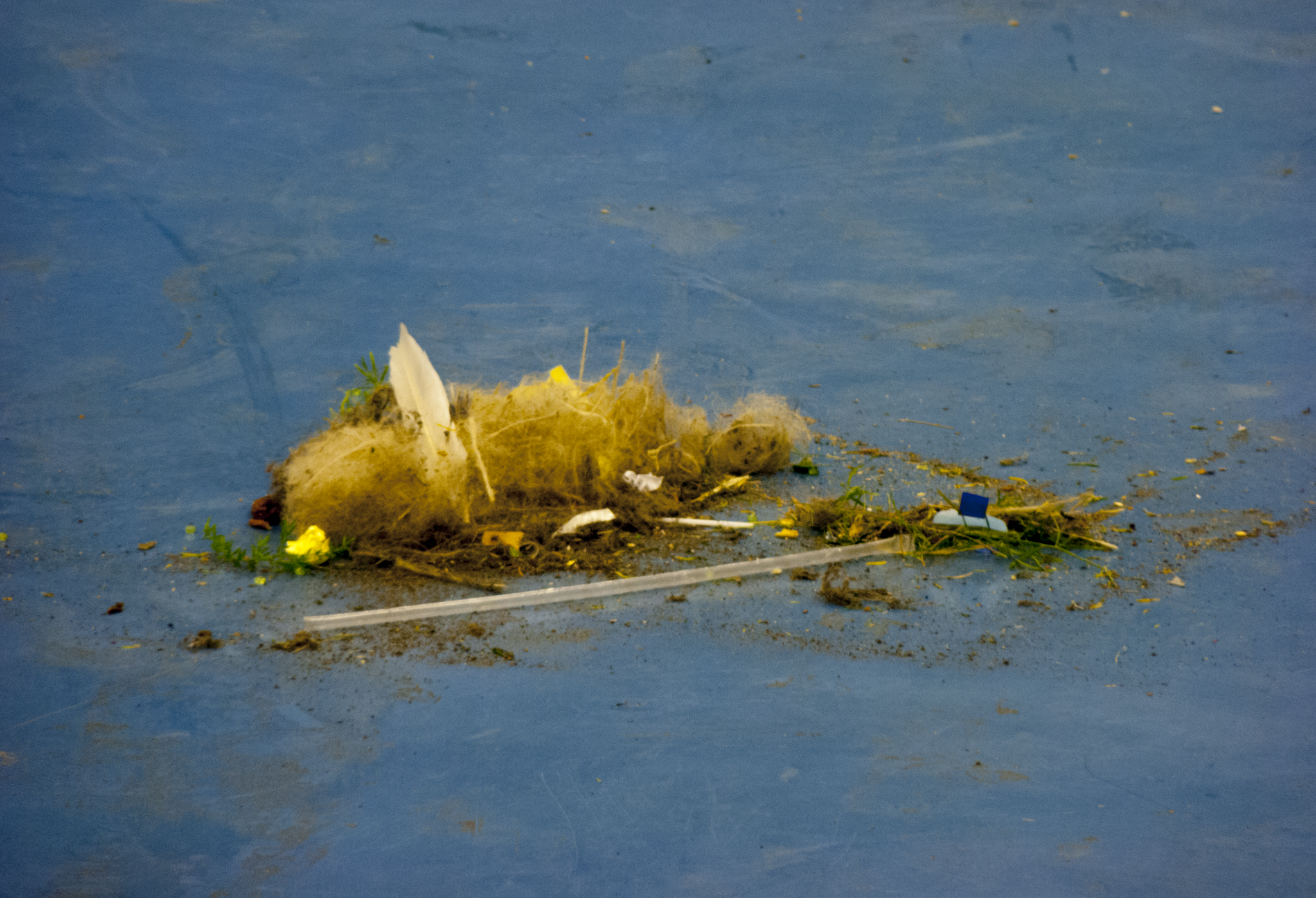 the treasure of desert island