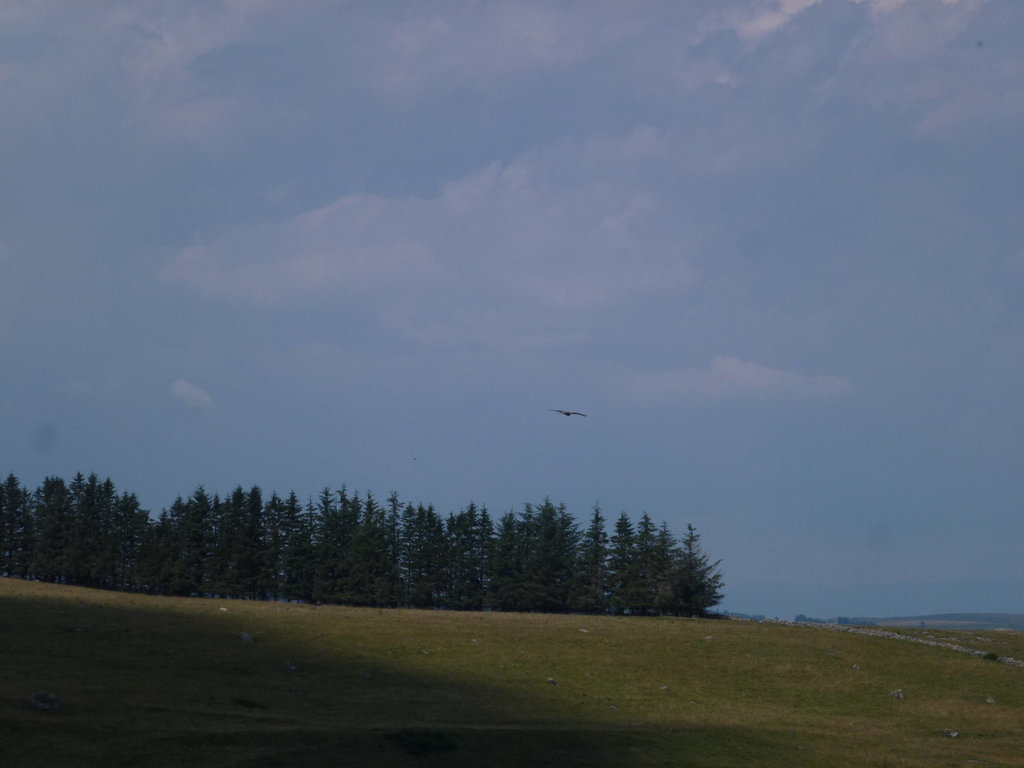 20140723 -27 Nasbinals Aubrac VTT Marche (204) al