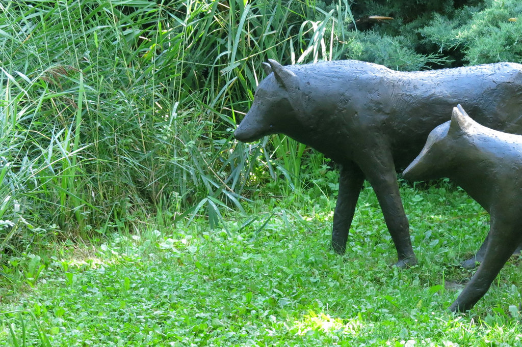 Louveteau et loup - 2004 et 2011 - bronzes à patine brune (Roland Cognet, 1957-)