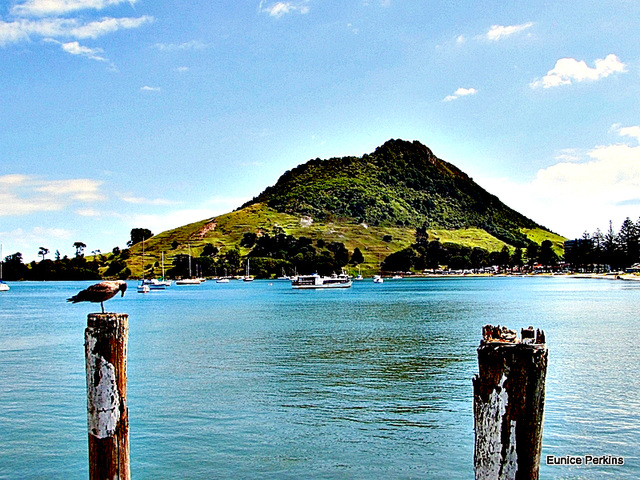 Mount Maunganui