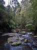 Erskine Falls