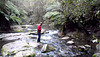 Erskine Falls