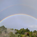 Whanga-rainbow