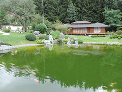 Bonsai-Museum Seeboden