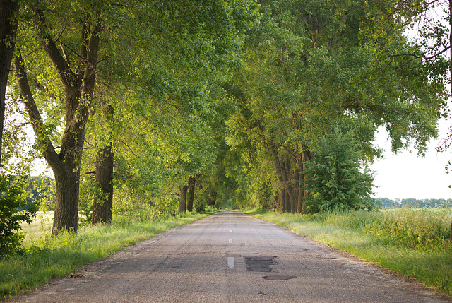 die Straße bei Samhorodok