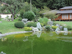 Bonsai-Museum Seeboden