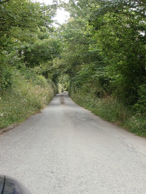 The Devon lanes we drove down