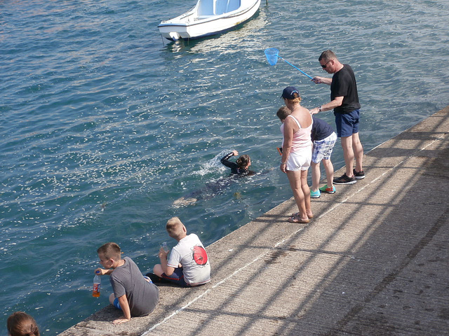 All the crabbers had to wait for the swimmer to pass