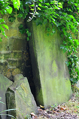 Preston Cemetery,North Shields