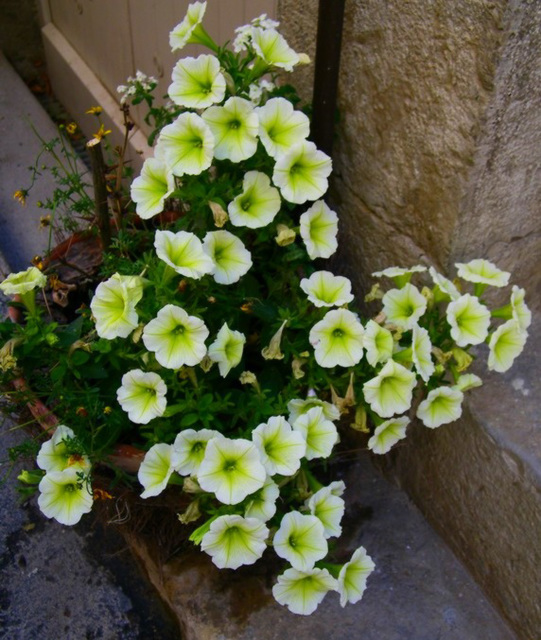 Sur un escalier