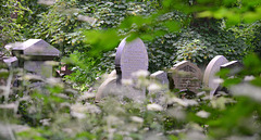 Preston Cemetery,North Shields