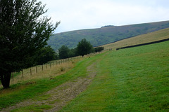 Mossy Lea Farm Track from Old Glossop