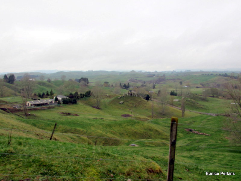 Country View.