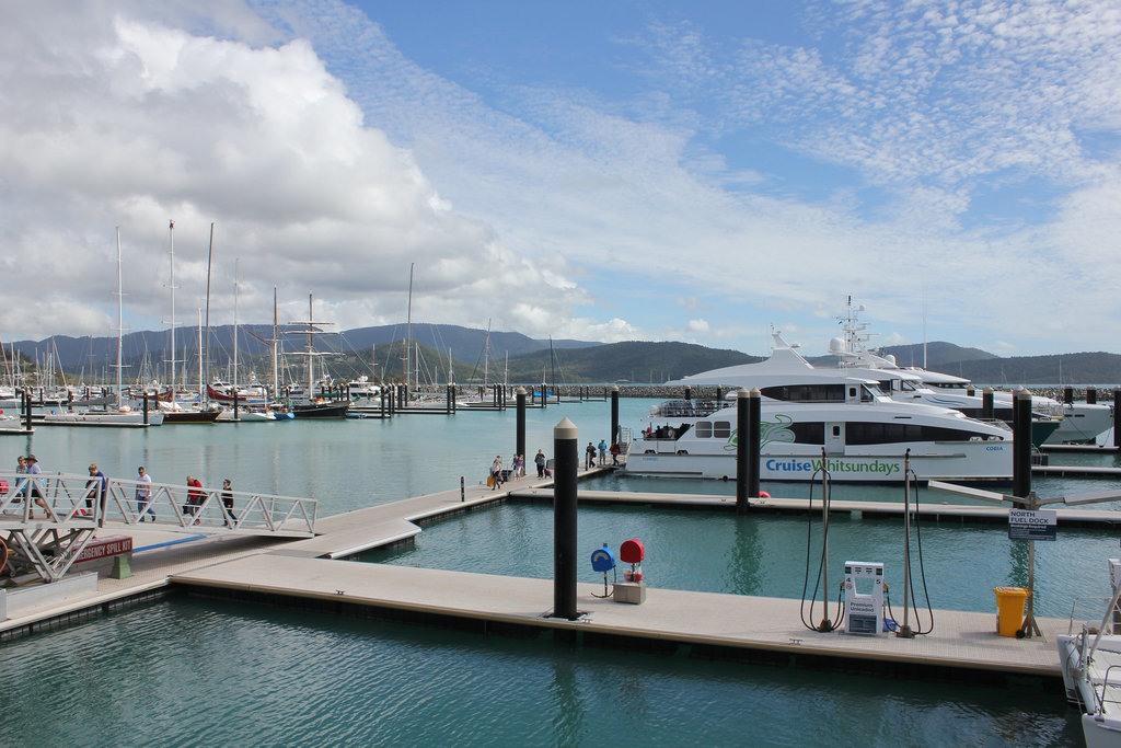 Abell Point Marina