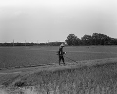 Mowing the footpath