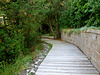 Walkway to the lake.