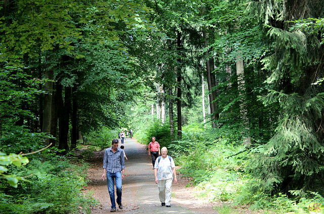 2014-07-06 08 Hinterhermsdorf - Niedere Schleuse