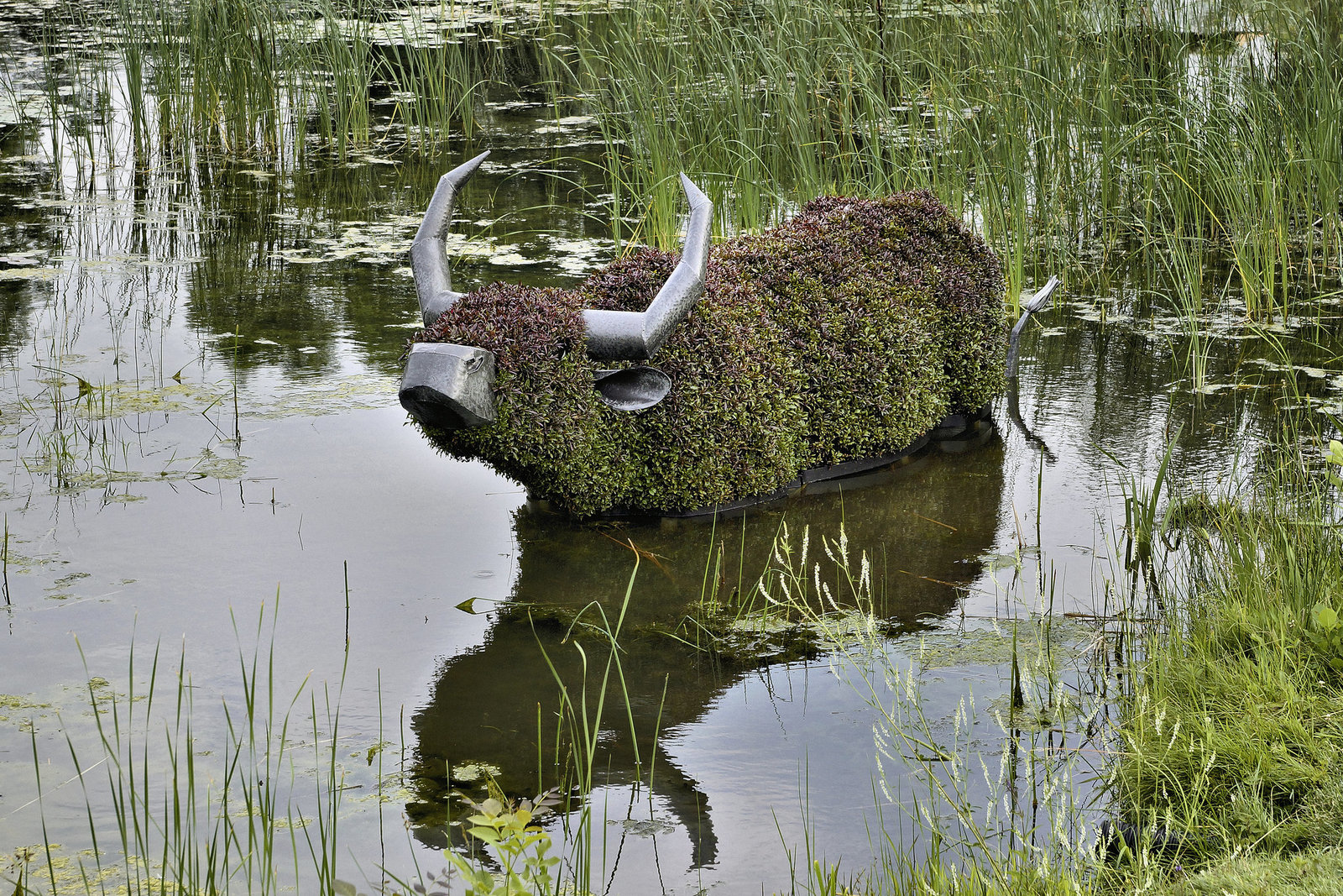 "Sun Bath" – Mosaïcultures Internationales de Montréal, Botanical Garden, Montréal, Québec