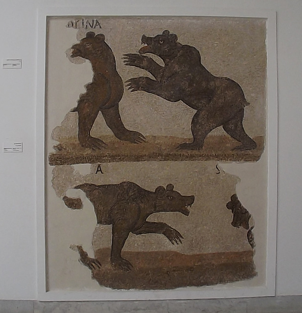 Bear Fight in an Amphitheatre Mosaic in the Bardo Museum, June 2014