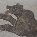 Detail of a Bear Fight in an Amphitheatre Mosaic in the Bardo Museum, June 2014