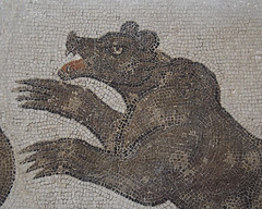 Detail of a Bear Fight in an Amphitheatre Mosaic in the Bardo Museum, June 2014