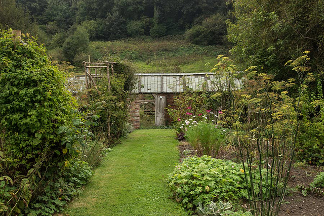 Garden in Autumn