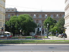 IMG 4549