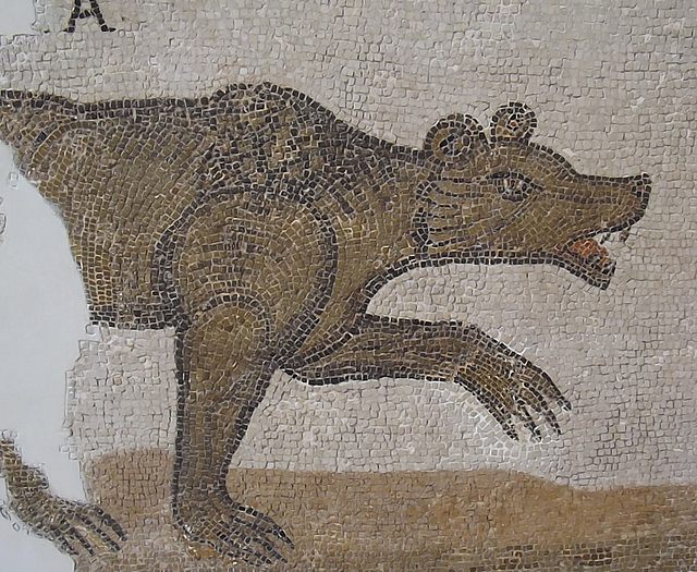 Detail of a Bear Fight in an Amphitheatre Mosaic in the Bardo Museum, June 2014