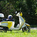 scooter Mash Storia