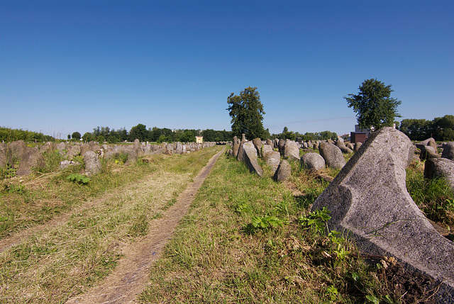 Der alte judische Friedhof in Berdytschiw Der alte judische Friedhof in Berdytschiw