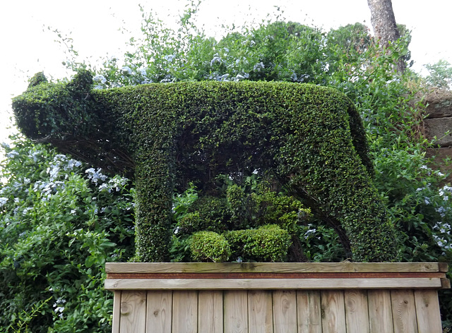 Capitoline Wolf Topiary in Rome, June 2013