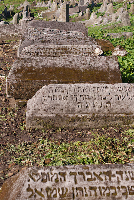 Der alte judische Friedhof in Berdytschiw Der alte judische Friedhof in Berdytschiw