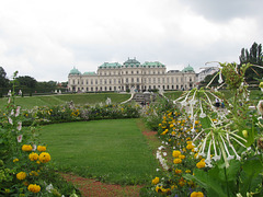IMG 4664