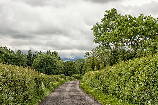 After the rain