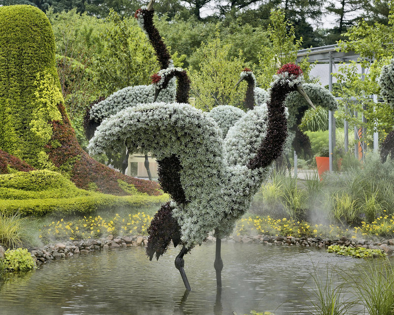 The Girl Who Loved Red-crowned Cranes #2 – Mosaïcultures Internationales de Montréal, Botanical Garden, Montréal, Québec
