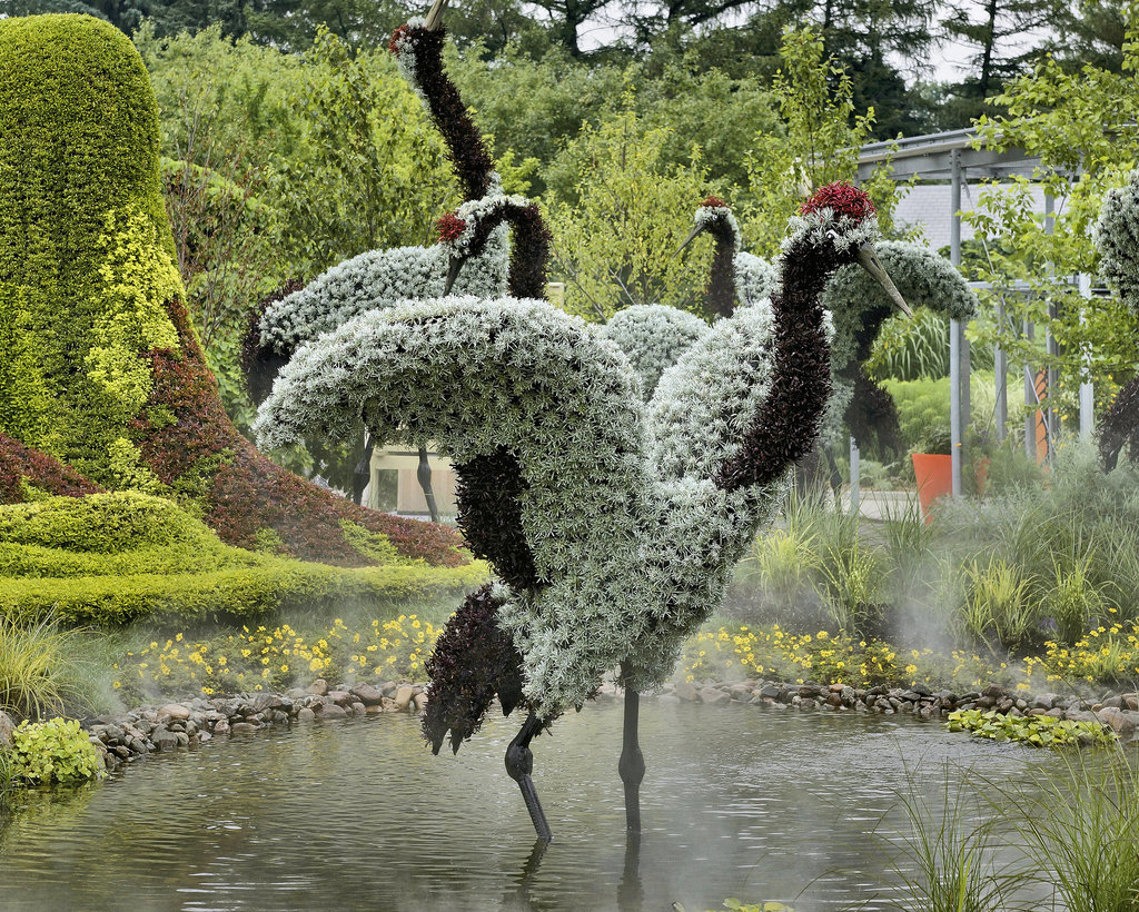 The Girl Who Loved Red-crowned Cranes #2 – Mosaïcultures Internationales de Montréal, Botanical Garden, Montréal, Québec