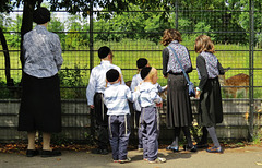 jewish family feeding clissold park deer, stoke newington, london