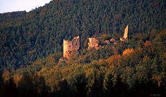 Château de Wasigenstein