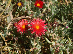 P5230062