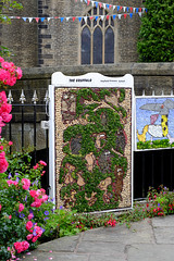 Hayfield Well Dressings 2014