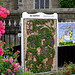 Hayfield Well Dressings 2014