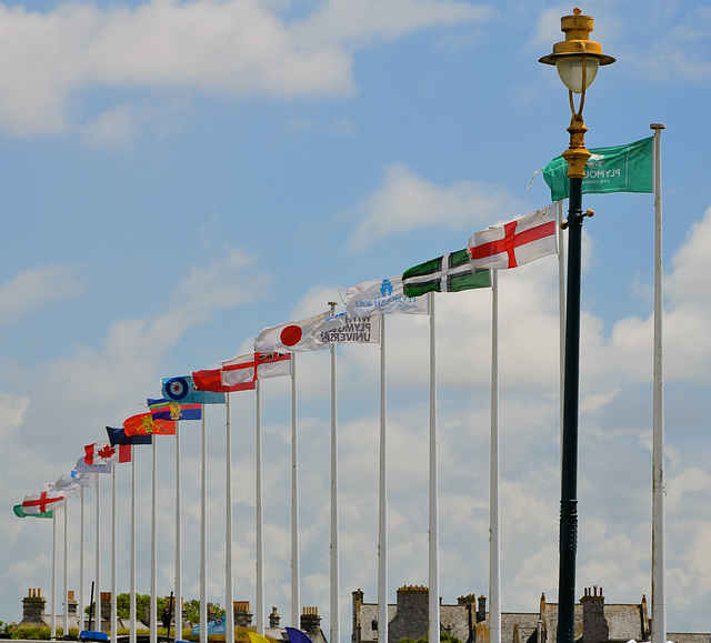 Armed Forces Day, Plymouth