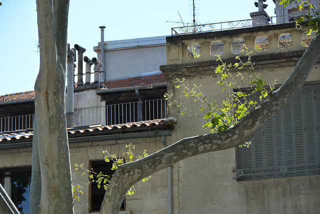 place des Carmes