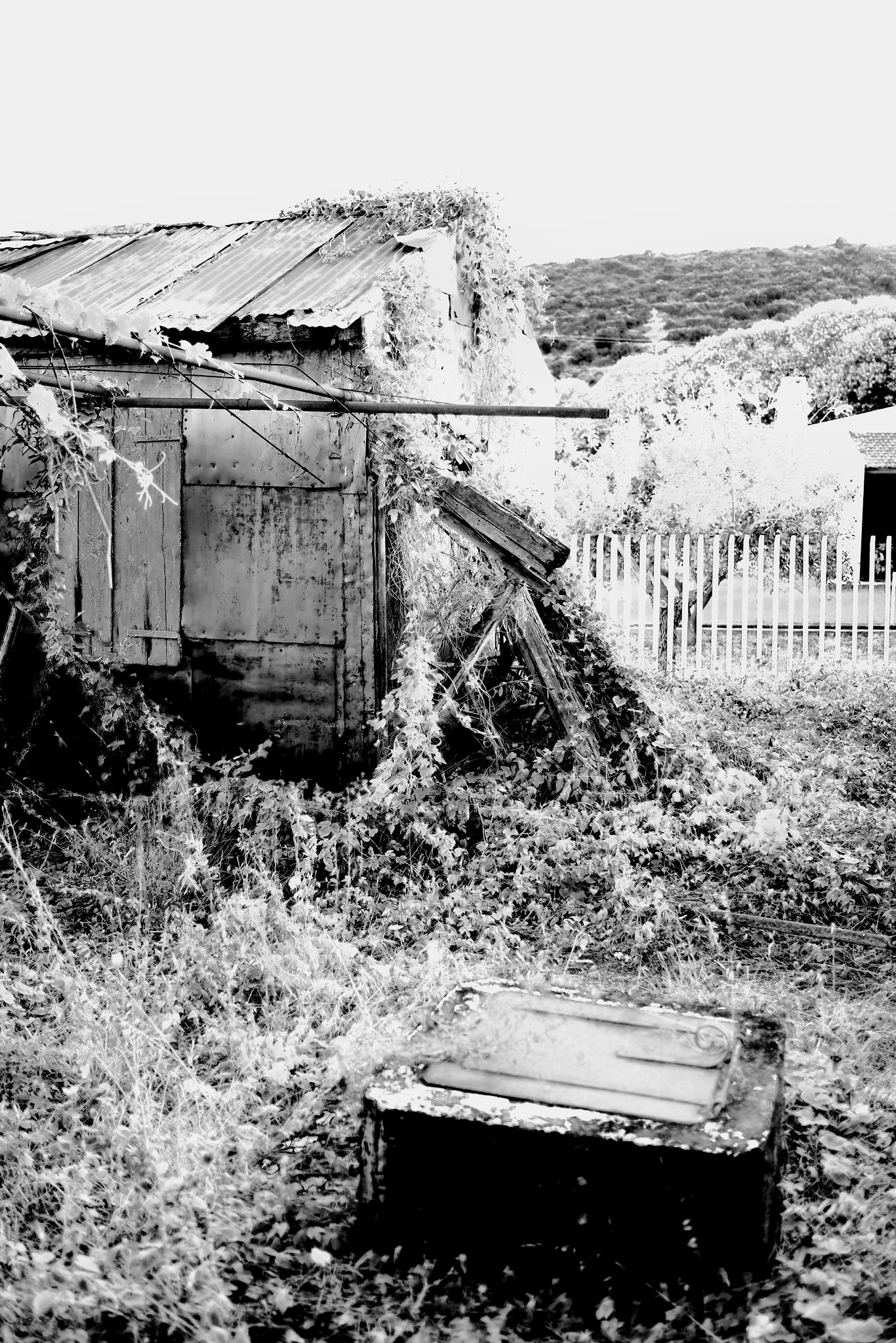 Katelios Kefalonia Derelict Mono X-Pro1 1