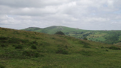 Looking around the wilderness